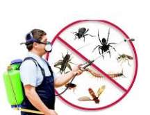 Dịch vụ kiểm soát côn trùng Dịch vụ kiểm soát côn trùng
